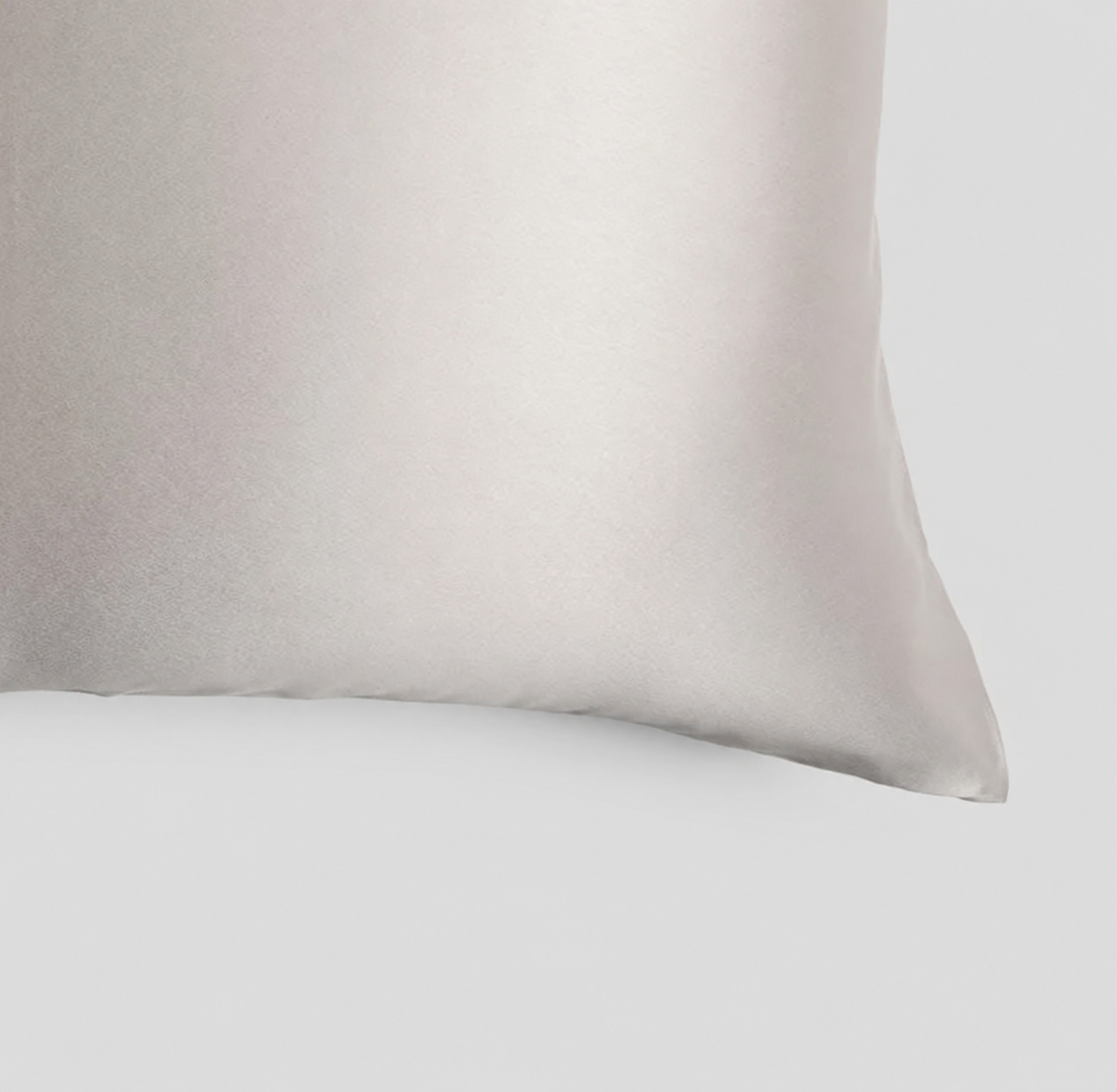 LOGO Mulberry Silk Pillow Case